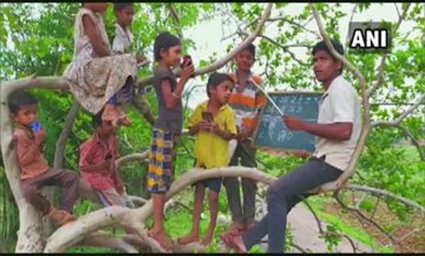 നെറ്റ്വര്ക്ക് മോശം, ഓണ്ലൈന് ക്ലാസിനായി കുട്ടികളുമായി മരത്തിനു മുകളില് കയറി ക്ലാസെടുക്കുന്ന യുവാവ്.. ചിത്രം വൈറല്