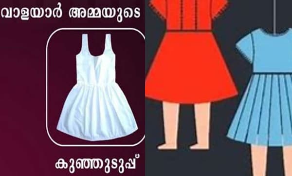 പ്രതിക്ഷേധത്തിന്റെ ഭാഗമായി മത്സരിച്ചു ; ആയിരത്തിലേറെ വോട്ടുകള് നേടി വാളയാര് അമ്മ