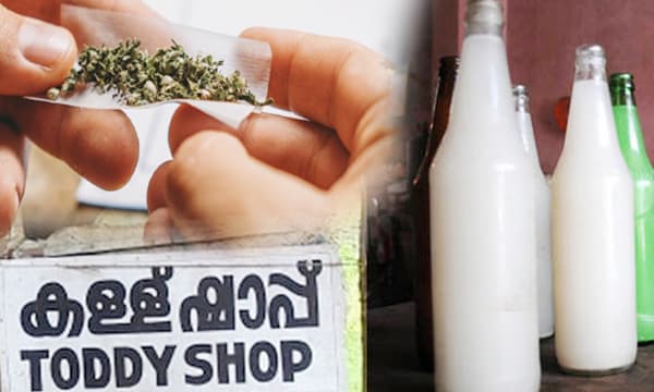 വീര്യം കൂട്ടാന് തെങ്ങിന് കള്ളില് കഞ്ചാവ്: ഇടുക്കിയില് 25 ഷാപ്പുകള്ക്ക് പൂട്ട് വീഴുന്നു