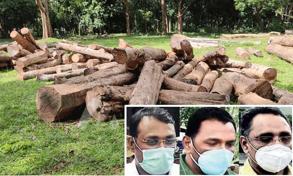 മുട്ടില് മരംമുറി: റിമാന്ഡിലായി 60 ദിവസത്തിനുള്ളില് കുറ്റപത്രം സമര്പ്പിച്ചില്ല, അഗസ്റ്റിന് സഹോദരന്മാരെല്ലാം അഴിക്കുപുറത്ത്