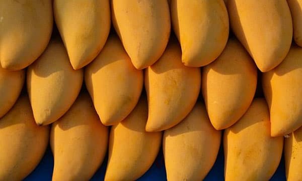 കേരള പോലീസിന് വിട്ടുമാറാത്ത മാങ്ങാശാപം? ഉന്നതോദ്യോഗസ്ഥരുടെ പേരില് 5 കിലോ മാങ്ങ വാങ്ങി പൊലീസുകാരന് മുങ്ങി...!!