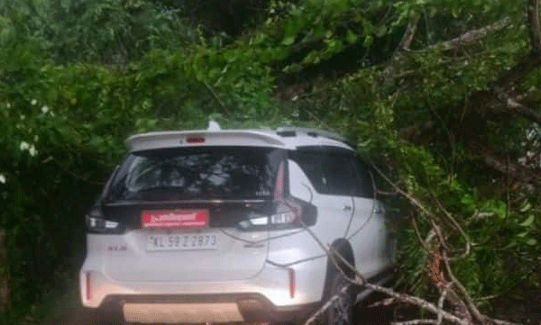 കണ്ണൂരിലുണ്ടായ ശക്തമായ കാറ്റിലും മഴയിലും മരം കാറിന് മുകളിലേക്ക് വീണു