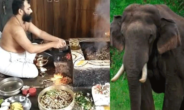 അരിക്കൊമ്പന്റെ സുരക്ഷയ്ക്കായി പ്രത്യേക പൂജ നടത്തി വടക്കഞ്ചേരിയിലെ ക്ഷേത്രം