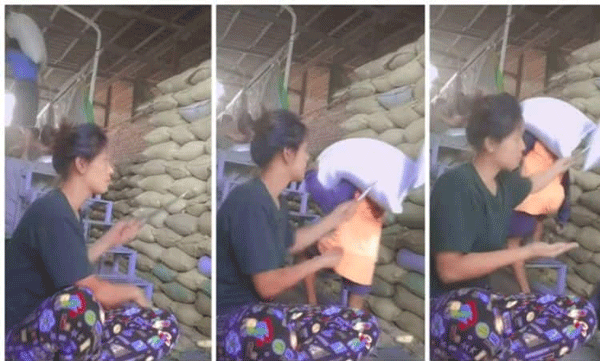 ഇതാണ് 'ക്വാളിറ്റി ഇന്സ്പെക്ടര്': ചാക്കില് കുത്തി സെക്കന്ഡുകള്കൊണ്ട് അരിയുടെ ഗുണമേന്മ പരിശോധിക്കുന്ന യുവതി