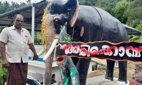 അഞ്ചുവര്ഷം മുമ്പ് ഇഞ്ചിക്കൃഷി നശിപ്പിച്ചു ; അരിക്കൊമ്പന് ചവിട്ടിയ ഇഞ്ചി നല്കിയത് വന് വിളവ് ; രണ്ടുലക്ഷം മുടക്കി എട്ടടി ഉയരമുള്ള പ്രതിമ നിര്മ്മിച്ച് ആനയ്ക്ക് കര്ഷകന്റെ നന്ദി...!