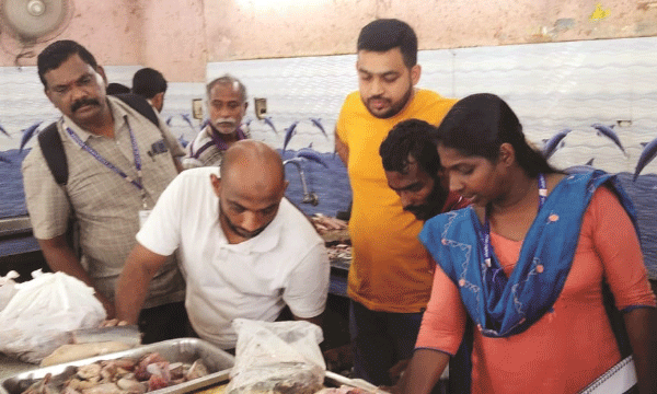 കൂട്ടാന് കൊള്ളാമെന്ന് ഉറപ്പാക്കിയേ വാങ്ങാവൂ ; ട്രോളിംഗ് നിരോധനത്തിന് പിന്നാലെ വരുന്നത് പഴകിയ മീന് ; കൂട്ടത്തില് ആറുമാസം പഴക്കമുള്ളവ വരെ; കായല്, പുഴ വളര്ത്തുമത്സ്യങ്ങളും കുറഞ്ഞു
