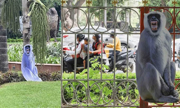 ജി20യ്ക്ക് ഭീഷണിയായി കുരങ്ങന്മാര്: തുരത്താന് ലങ്കൂര് കുരങ്ങുകളുടെ കൗട്ടഔട്ട് സ്ഥാപിച്ച് അധികൃതര്