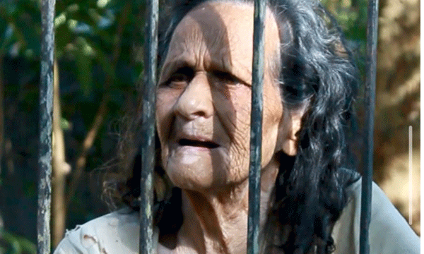 പെറ്റുവളര്ത്തിയത് ഒമ്പത് മക്കളെ, എല്ലാവരും നല്ല നിലയില് ; എന്നാല് നാലുവര്ഷമായി പൂട്ടിയിട്ട ഗേറ്റിനുളളില് കാടുപിടിച്ച പുരയിടത്തില് പരസഹായമില്ലാതെ 85 കാരി ദുരിതത്തില് തനിച്ച്