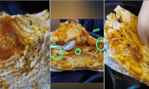 ഓര്ഡര് ചെയ്ത പ്ലെയ്ന് ദോശയില് എട്ട് പാറ്റകള്: വീഡിയോ പങ്കുവച്ച് യുവതി