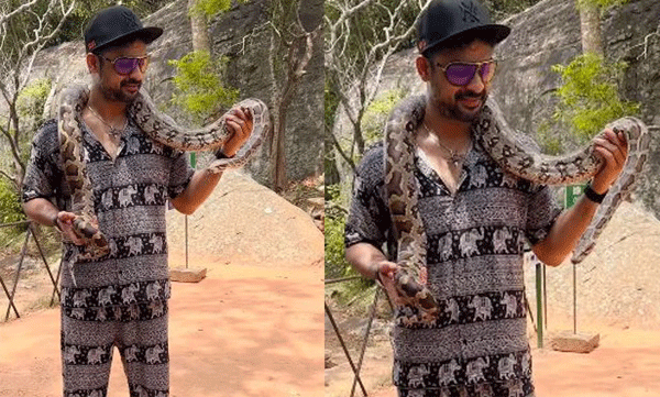 പെരുമ്പാമ്പിനൊപ്പം പോസ് ചെയ്യുന്ന വീഡിയോ പങ്കിട്ട് ടൊവിനോ തോമസ്; രസകരമായ കമന്റുകളുമായി ആരാധകര്