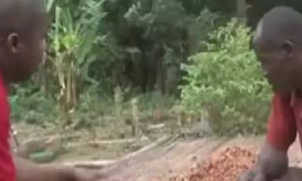 ആദ്യമായി ചോക്ലേറ്റ് രുചിച്ചുനോക്കുന്ന കൊക്കോ കര്ഷകര്: വീഡിയോ ഏറ്റെടുത്ത് നെറ്റീസണ്സ്