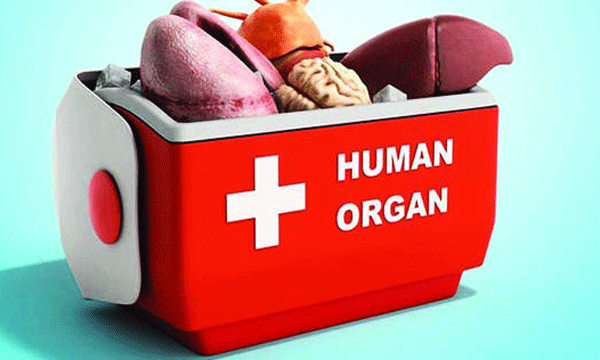 രാജ്യാന്തര അവയവക്കടത്ത് കേസ് : മുഖ്യകണ്ണി മധുവിനെ പിടികൂടാന് ലുക്കൗട്ട് നോട്ടീസ് ഇറക്കി
