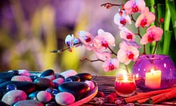 ഫെംഗ്ഷൂയിയും അകത്തളവും