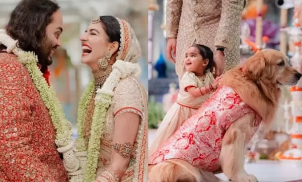 Ambani's pet dog in Anand ambani radhika merchant wedding