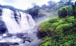 മാടിവിളിച്ച് മാങ്കുളം, മനസ് കുളിരും,കാണാം നക്ഷത്ര കുത്ത്; ടൂറിസം മേഖലയില് മാങ്കുളം വികസന കുതിപ്പില്