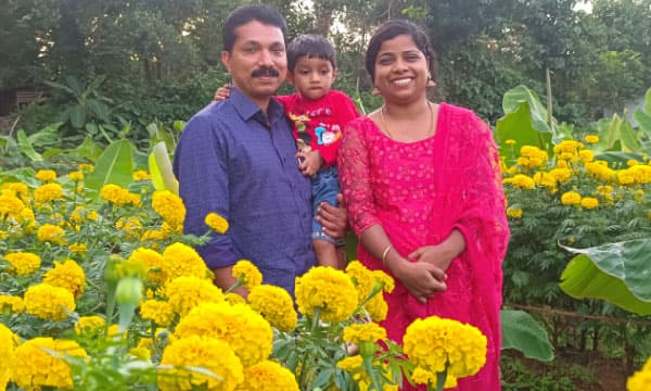 കേരളത്തിലെ കാലാവസ്ഥയിലും പൂച്ചെടികള് നന്നായി വളരും ; പാട്ടത്തിനെടുത്ത സ്ഥലത്ത് ദമ്പതികളുടെ പൂവസന്തം ; 60 സെന്റ് സ്ഥലത്ത് പൂവിട്ടിരിക്കുന്നത് 2,500 ഓളം ചെണ്ടുമല്ലിചെടികള്