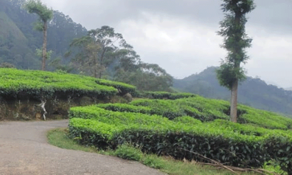 വീണ്ടും സമിതികള്, ഇടുക്കി ഭൂപ്രശ്നം അനന്തമായി നീളും ; നിയമ ഭേദഗതിയെക്കുറിച്ച് കോടതിയില് പരാമര്ശിക്കാതെ സര്ക്കാര്