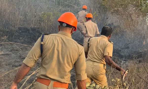 ഉറവപ്പാറ മലമുകളില് രണ്ട് കിലോമീറ്ററോളം നടന്നെത്തി തീയണച്ചു ; തീപിടിത്തത്തിന് കാരണം സാമൂഹികവിരുദ്ധരെന്ന് അനുമാനം