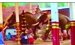 കുറുവങ്ങാട് മണക്കുളങ്ങര ക്ഷേത്രത്തിലെ അപകടം ; ഒരാള് മരണമടഞ്ഞത് ആനയുടെ ചവിട്ടേറ്റ്; മറ്റു രണ്ടുപേര് കെട്ടിടഭാഗങ്ങള് ദേഹത്ത് വീണും