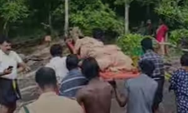 തേനെടുക്കാനായി എത്തിയത് രണ്ടു കുടുംബത്തിലെ നാലംഗ സംഘം ; കാട്ടാനയെ പേടിച്ച് അംബിക പുഴയില് ചാടി, മുങ്ങിമരണമെന്ന് സംശയം