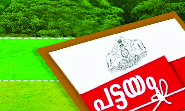 കെട്ടിട വിസ്തൃതി പരിഗണിക്കാതെ വനഭൂമിയില് പട്ടയം ; നിര്ണ്ണായക തീരുമാനവുമായി സര്ക്കാര്