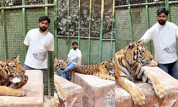 Sharafudeen with tiger (Image Source: Instagram)
