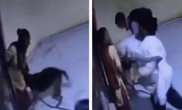 വളര്ത്തുനായ ആക്രമിക്കാനെത്തി, ചോദ്യം ചെയ്ത യുവതിയെ പൊതിരെ തല്ലി ഉടമ: ഞെട്ടിക്കുന്ന ദൃശ്യങ്ങള്