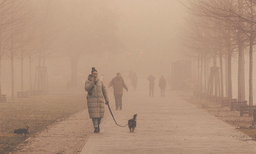 ബംഗളൂരു തണുത്ത് വിറയ്ക്കുന്നു: വളരെ കുറഞ്ഞ താപനിലയെന്ന് കാലാവസ്ഥാ റിപ്പോര്ട്ട്