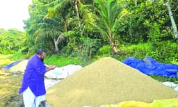 ഏജന്സികള് എത്തിയില്ല; വിളവെടുത്ത നെല്ല്
ഒമ്പത് ദിവസമായി പാടത്ത്