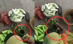 ഇതൊക്കെ എങ്ങനെ കഴിക്കും! കുക്കുമ്പറില് പച്ചനിറം പൂശി വില്പ്പനക്കാരി, വീഡിയോ കണ്ട് ഞെട്ടി സോഷ്യല് മീഡിയ