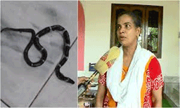 അറ്റാച്ച്ഡ് ബാത്ത് റൂമിൽ വെള്ളിക്കെട്ടൻ ; പാമ്പുകടിയേറ്റ് മരിച്ച ആൽജോയുടെ അയൽപക്കത്തെ വീടുകളിലും പാമ്പുകൾ