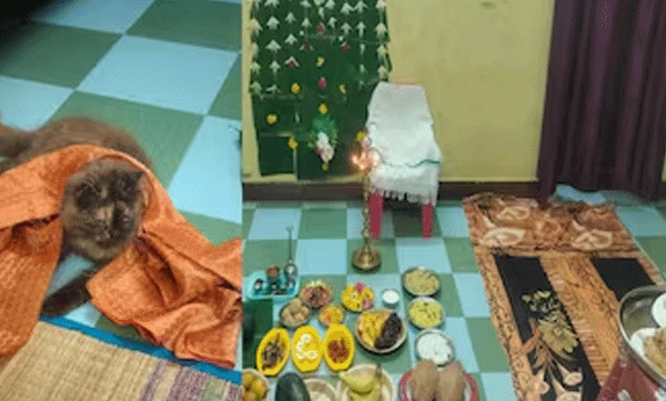 ഗര്ഭിണിയായ വളര്ത്ത് പൂച്ചയ്ക്ക് വളകാപ്പ് നടത്തി കുടുംബം: ചിത്രങ്ങള് ഏറ്റെടുത്ത് സോഷ്യല് മീഡിയ