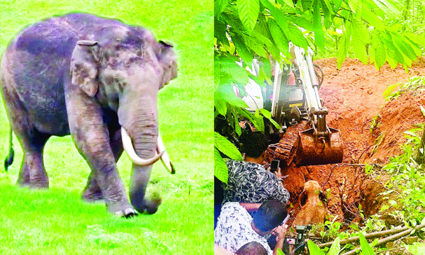 കാട്ടുകൊമ്പന് എന്തു ഷൂട്ടിങ്? ലൊക്കേഷനില് പടയപ്പയുടെ മാസ് എന്ട്രി ; തെലുങ്ക് താരം ഘട്ടമനേനി ജയകൃഷ്ണയും നടി റാഷ തദാനിയുമെല്ലാം ഇറങ്ങിയോടി...!