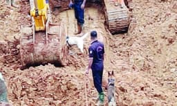 കള്ളാടി മണ്ണിടിച്ചില്: ഹിമാചല് സ്വദേശിക്കായി തെരച്ചില്