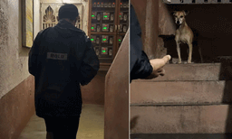 കനത്ത മഴയ്ക്കിടയിൽ വെള്ളം കയറിയ കെട്ടിടത്തിൽ കുടുങ്ങി വിശന്നുവലഞ്ഞ നായയ്ക്ക് തുണയായി യുവാവ്; കരളലിയിപ്പിക്കും ഈ ദൃശ്യങ്ങള്