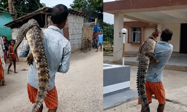 തോളില് മുതലയെ ചുമന്ന് പോലീസ് സ്റ്റേഷനിലെത്തി യുവാവ്: ഞെട്ടിക്കുന്ന ചിത്രങ്ങള് പുറത്ത്
