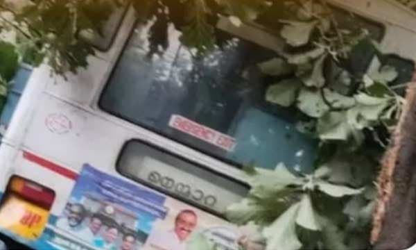 നെല്ലിയാമ്പതിയില് ബസ് അപകടം: വഴിയില് തെന്നിമാറി മരത്തിലിടിച്ചു നിന്നു ; തെറിച്ചുവീണ യാത്രക്കാരിക്ക് ദാരുണാന്ത്യം