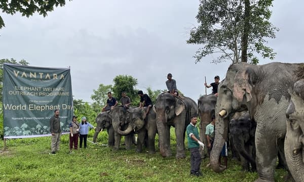 ആനകൾക്ക് അത്യാധുനിക ആശുപത്രി, പോഷകാഹാര കേന്ദ്രം, പ്രായമായ ആനകൾക്ക് വിശ്രമകേന്ദ്രം...വൻതാര ഒരുക്കുന്നത് ഇതിലുമേറേ