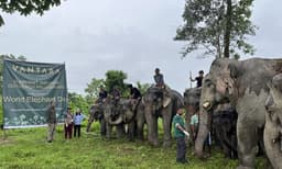 ആനകൾക്ക് അത്യാധുനിക ആശുപത്രി, പോഷകാഹാര കേന്ദ്രം, പ്രായമായ ആനകൾക്ക് വിശ്രമകേന്ദ്രം...വൻതാര ഒരുക്കുന്നത് ഇതിലുമേറേ