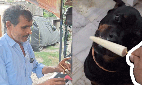 മനുഷ്യർക്കു മാത്രമല്ല, നായകൾക്കും കുൽഫി; ജയ്പൂരിലെ വിൽപ്പനക്കാരന്റെ സ്നേഹപരിചരണം വൈറൽ